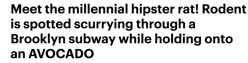 Via Daily Mail